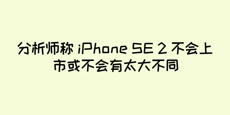 分析师称 iPhone SE 2 不会上市或不会有太大不同