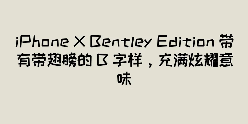 iPhone X Bentley Edition 带有带翅膀的 B 字样，充满炫耀意味