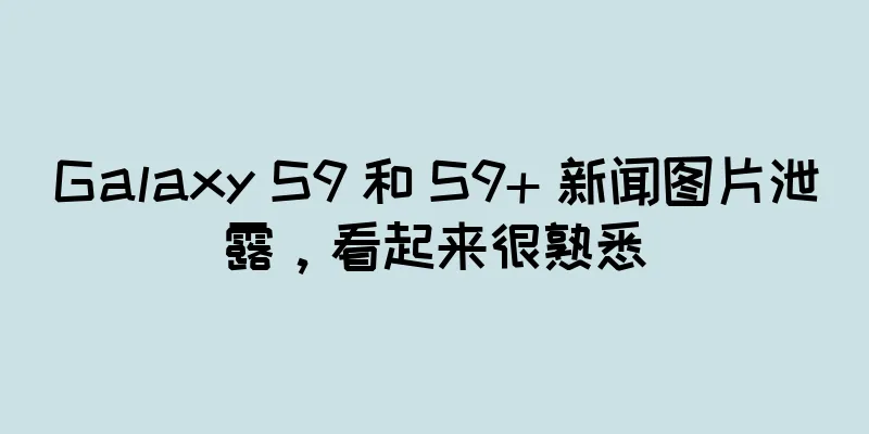 Galaxy S9 和 S9+ 新闻图片泄露，看起来很熟悉