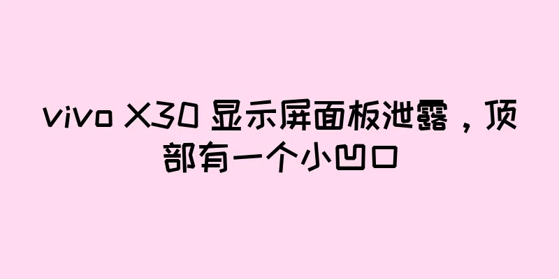 vivo X30 显示屏面板泄露，顶部有一个小凹口
