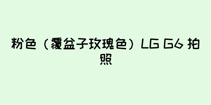 粉色（覆盆子玫瑰色）LG G6 拍照