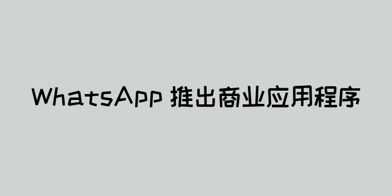 WhatsApp 推出商业应用程序
