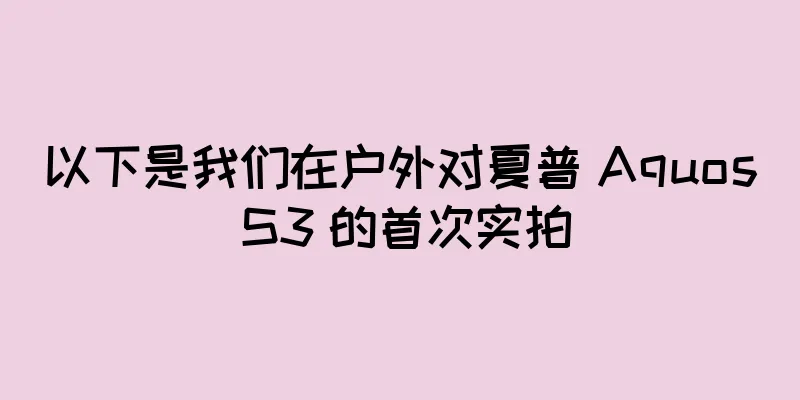 以下是我们在户外对夏普 Aquos S3 的首次实拍