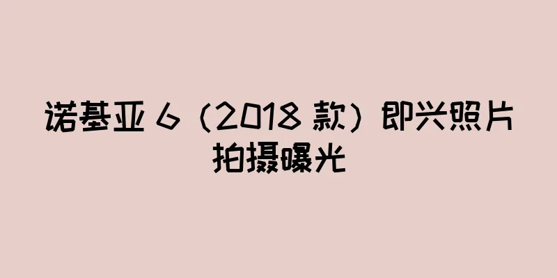 诺基亚 6（2018 款）即兴照片拍摄曝光