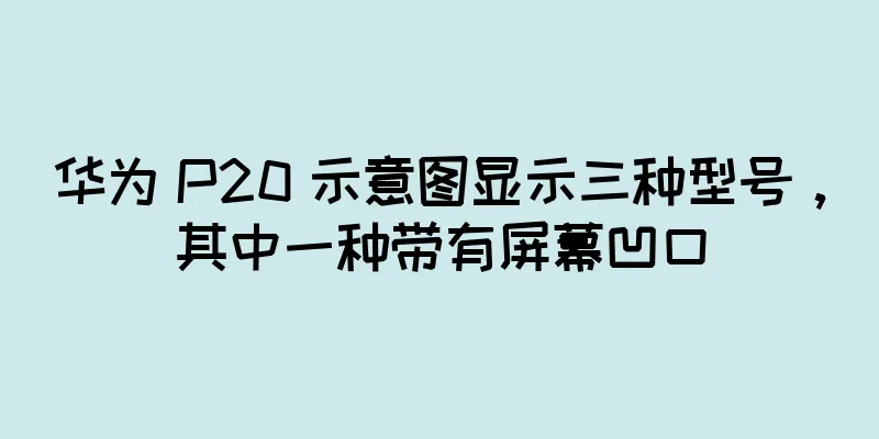 华为 P20 示意图显示三种型号，其中一种带有屏幕凹口