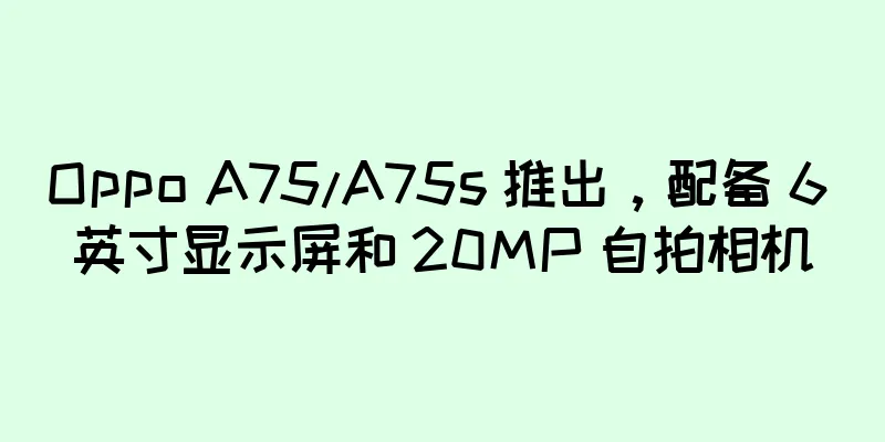 Oppo A75/A75s 推出，配备 6 英寸显示屏和 20MP 自拍相机