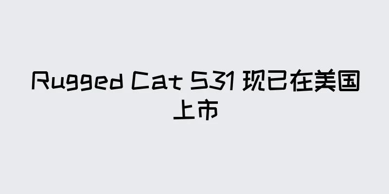 Rugged Cat S31 现已在美国上市