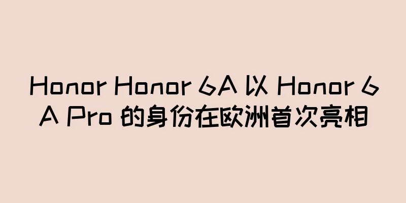 Honor Honor 6A 以 Honor 6A Pro 的身份在欧洲首次亮相