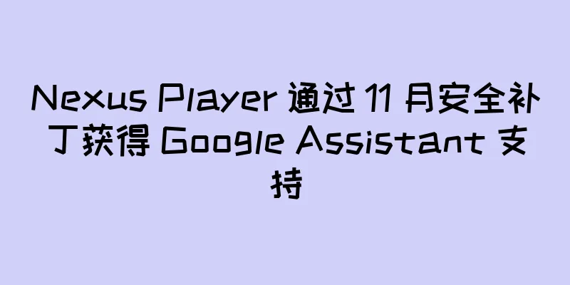 Nexus Player 通过 11 月安全补丁获得 Google Assistant 支持
