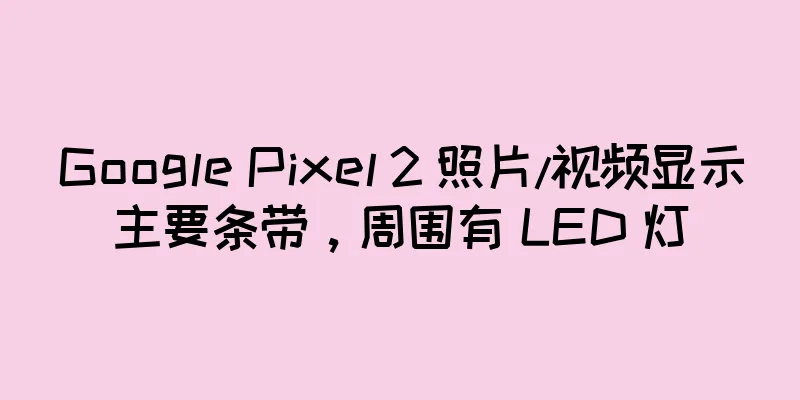 Google Pixel 2 照片/视频显示主要条带，周围有 LED 灯