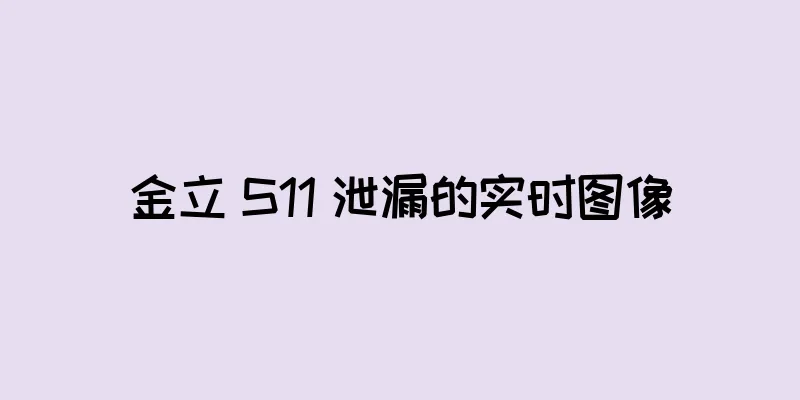 金立 S11 泄漏的实时图像