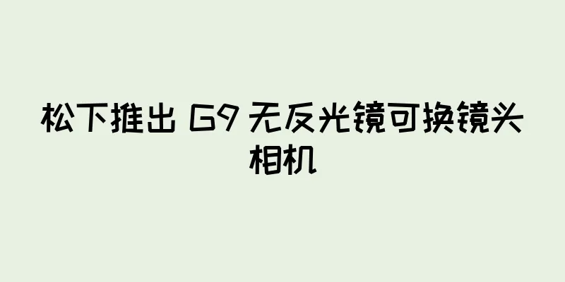 松下推出 G9 无反光镜可换镜头相机