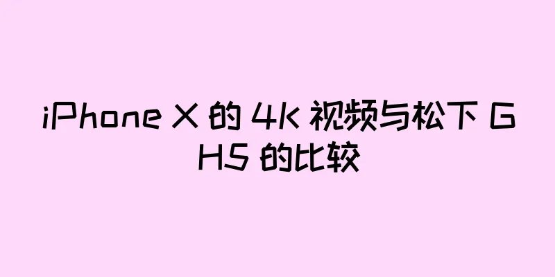 iPhone X 的 4K 视频与松下 GH5 的比较