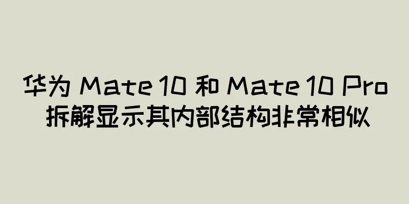 华为 Mate 10 和 Mate 10 Pro 拆解显示其内部结构非常相似