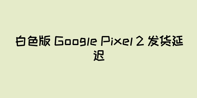 白色版 Google Pixel 2 发货延迟