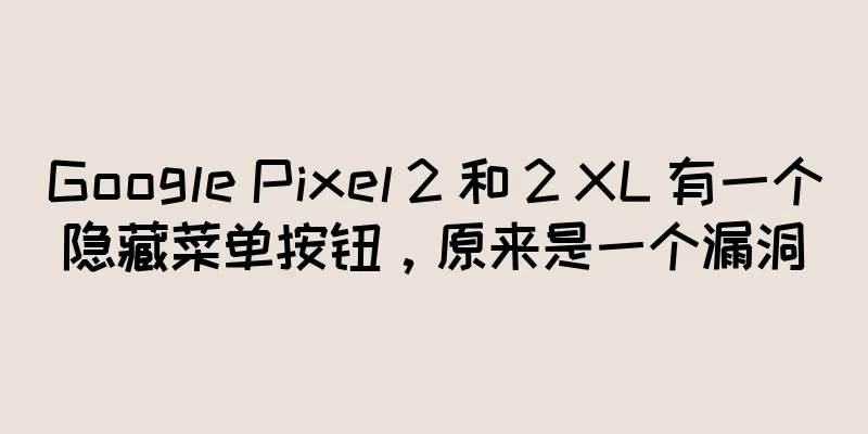Google Pixel 2 和 2 XL 有一个隐藏菜单按钮，原来是一个漏洞