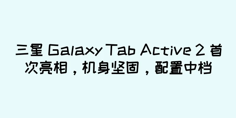 三星 Galaxy Tab Active 2 首次亮相，机身坚固，配置中档