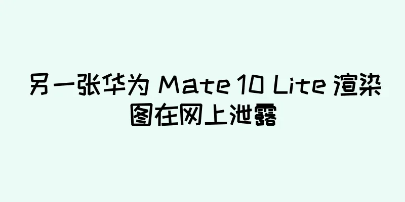 另一张华为 Mate 10 Lite 渲染图在网上泄露