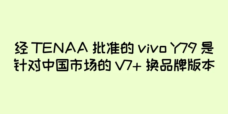 经 TENAA 批准的 vivo Y79 是针对中国市场的 V7+ 换品牌版本