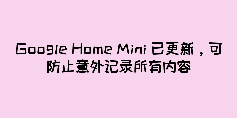 Google Home Mini 已更新，可防止意外记录所有内容