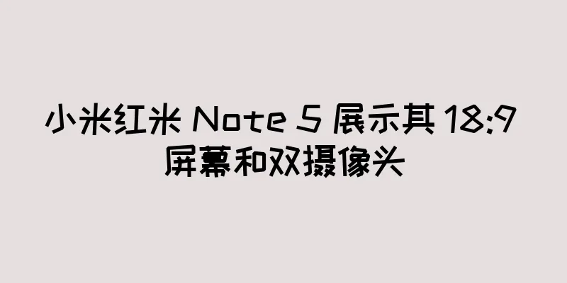 小米红米 Note 5 展示其 18:9 屏幕和双摄像头