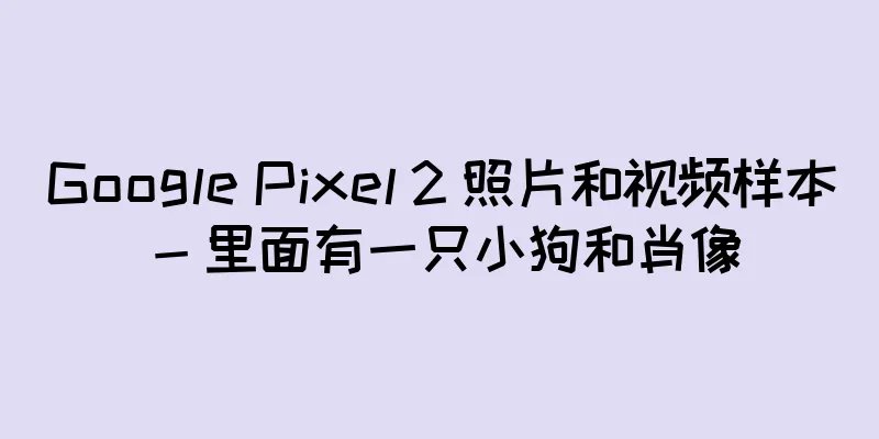 Google Pixel 2 照片和视频样本 - 里面有一只小狗和肖像