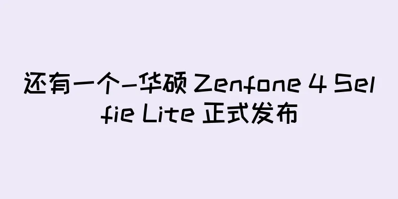 还有一个-华硕 Zenfone 4 Selfie Lite 正式发布