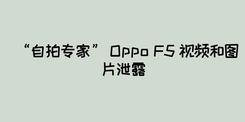“自拍专家” Oppo F5 视频和图片泄露