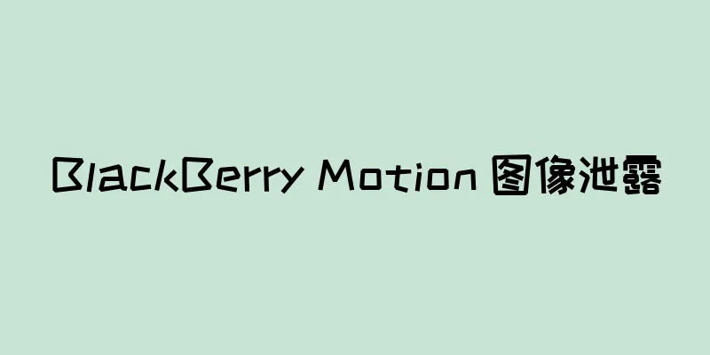 BlackBerry Motion 图像泄露