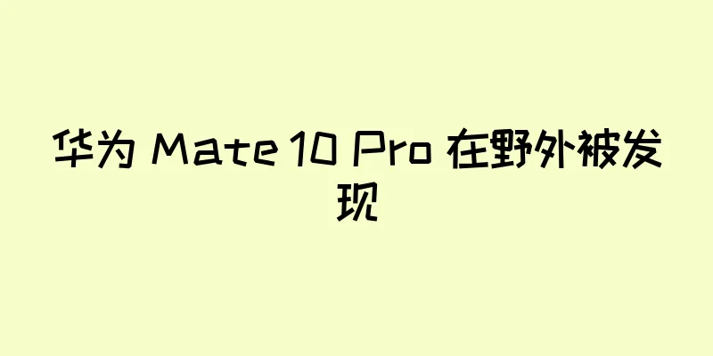 华为 Mate 10 Pro 在野外被发现