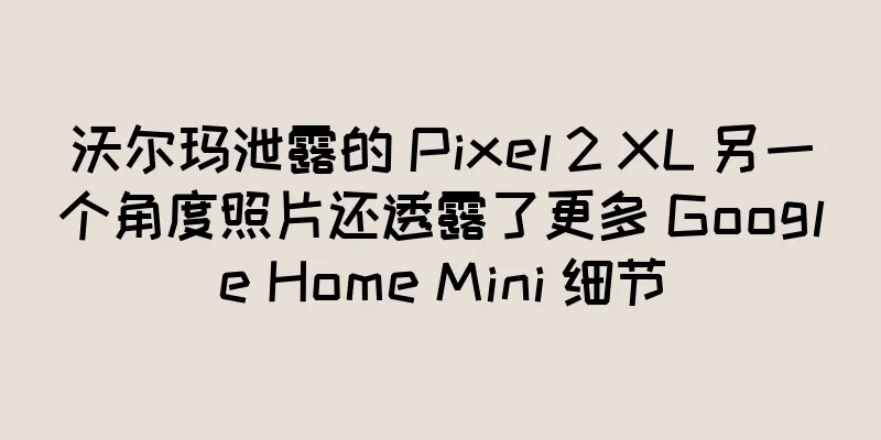 沃尔玛泄露的 Pixel 2 XL 另一个角度照片还透露了更多 Google Home Mini 细节