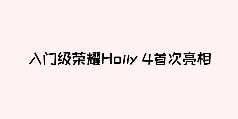 入门级荣耀Holly 4首次亮相