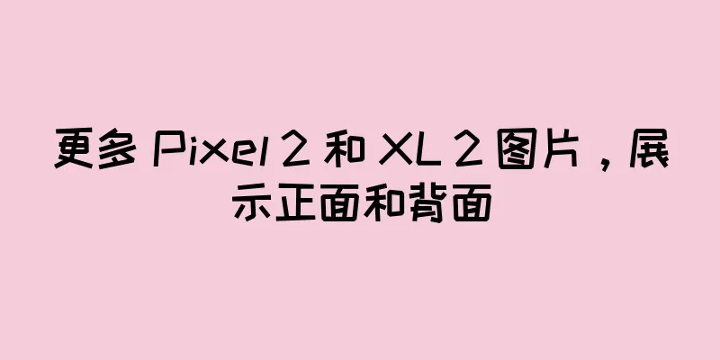 更多 Pixel 2 和 XL 2 图片，展示正面和背面