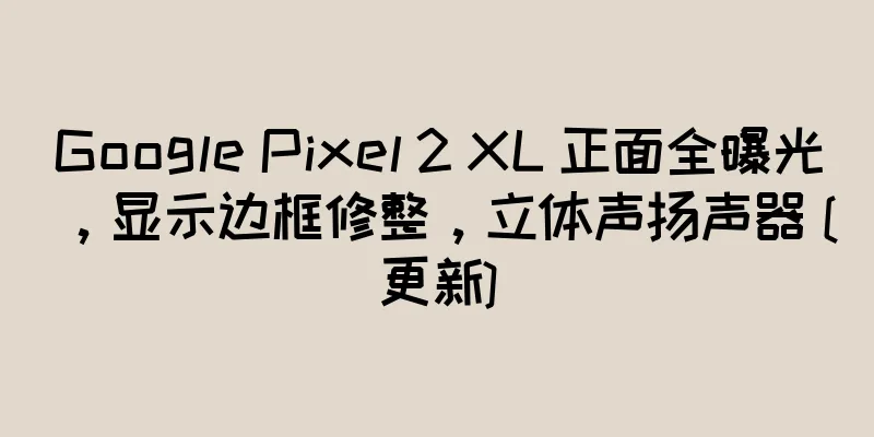 Google Pixel 2 XL 正面全曝光，显示边框修整，立体声扬声器 [更新]