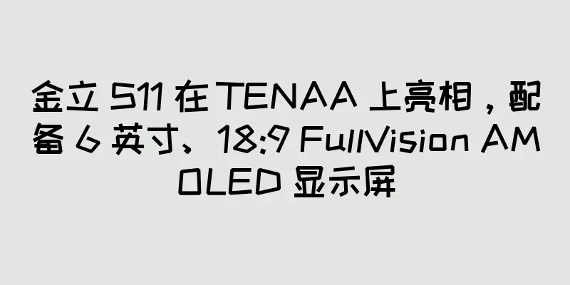 金立 S11 在 TENAA 上亮相，配备 6 英寸、18:9 FullVision AMOLED 显示屏