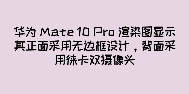 华为 Mate 10 Pro 渲染图显示其正面采用无边框设计，背面采用徕卡双摄像头