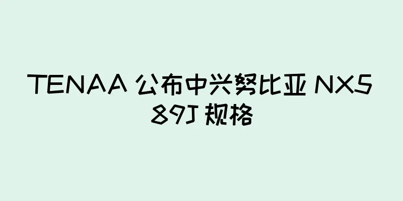 TENAA 公布中兴努比亚 NX589J 规格