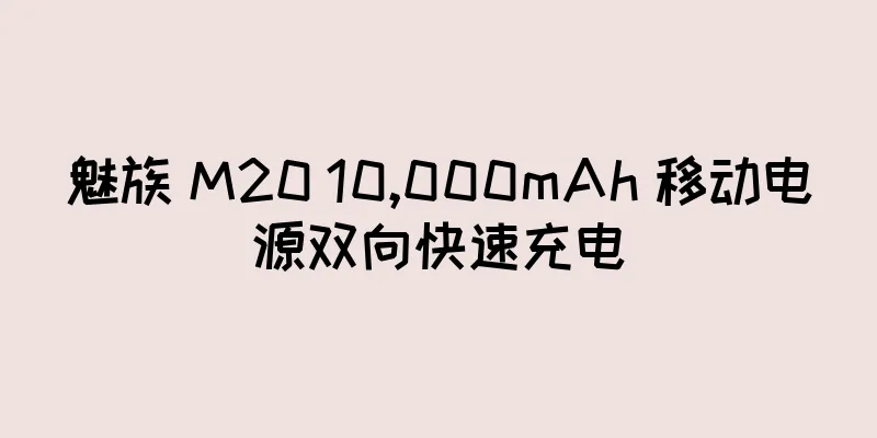 魅族 M20 10,000mAh 移动电源双向快速充电