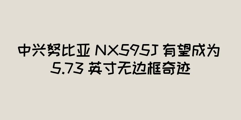 中兴努比亚 NX595J 有望成为 5.73 英寸无边框奇迹
