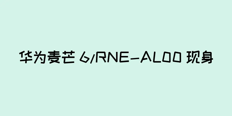 华为麦芒 6/RNE-AL00 现身