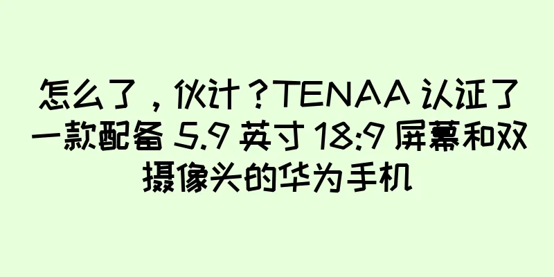 怎么了，伙计？TENAA 认证了一款配备 5.9 英寸 18:9 屏幕和双摄像头的华为手机