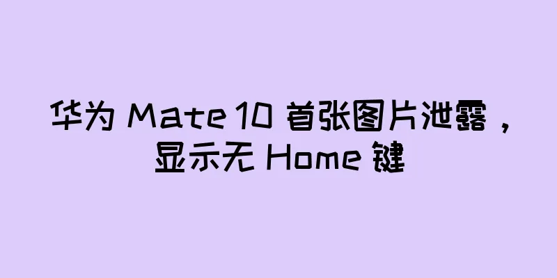 华为 Mate 10 首张图片泄露，显示无 Home 键