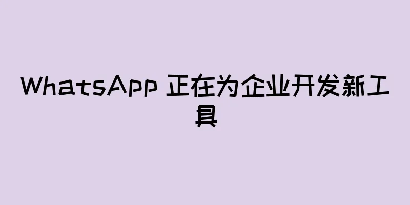 WhatsApp 正在为企业开发新工具