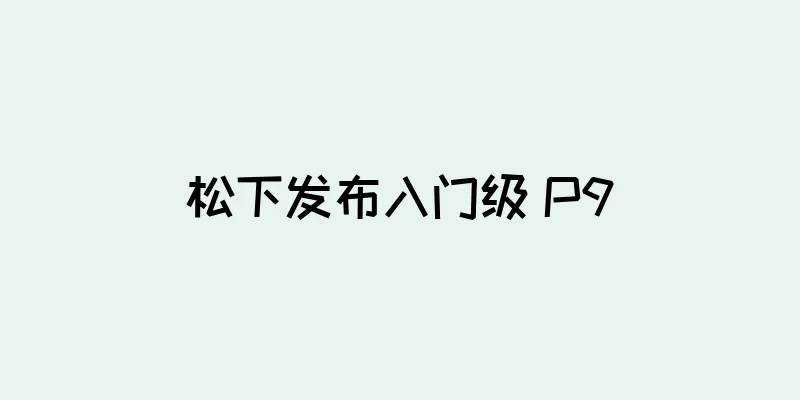 松下发布入门级 P9