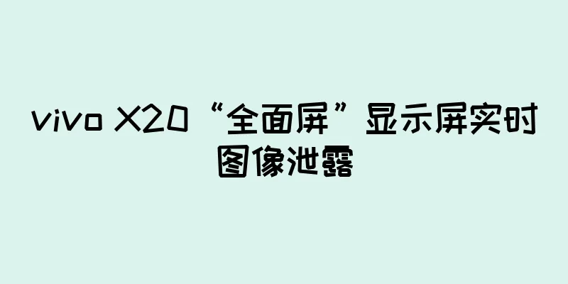 vivo X20“全面屏”显示屏实时图像泄露