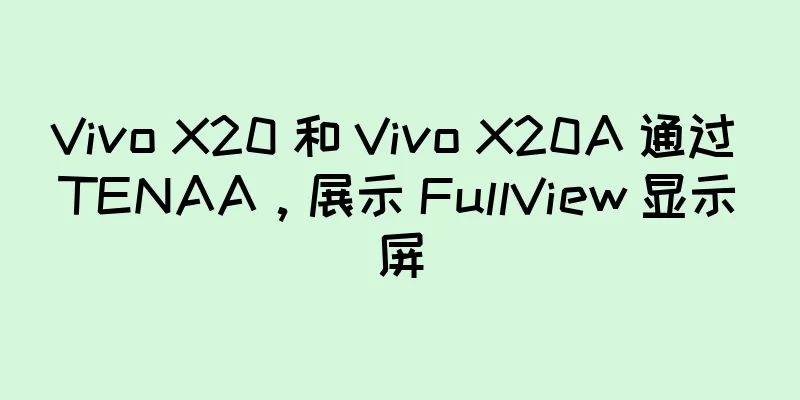 Vivo X20 和 Vivo X20A 通过 TENAA，展示 FullView 显示屏