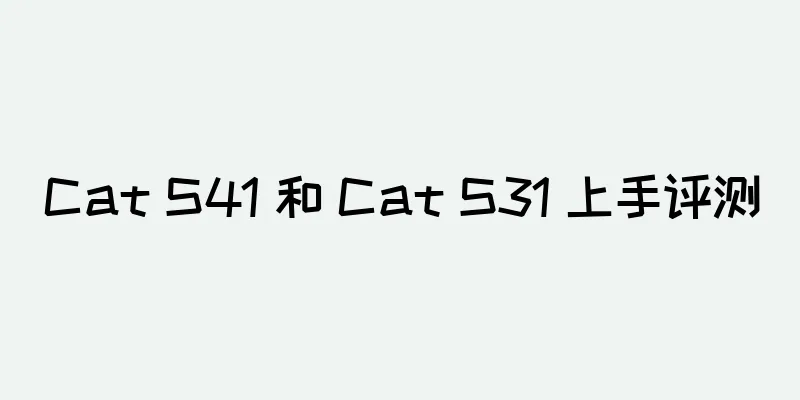 Cat S41 和 Cat S31 上手评测