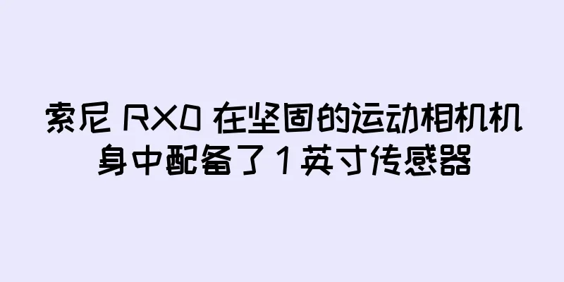 索尼 RX0 在坚固的运动相机机身中配备了 1 英寸传感器