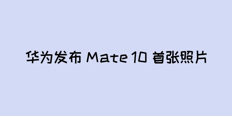 华为发布 Mate 10 首张照片