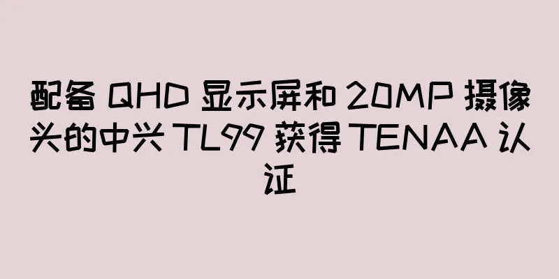 配备 QHD 显示屏和 20MP 摄像头的中兴 TL99 获得 TENAA 认证